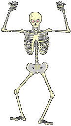 skelet.gif (11113 Byte)